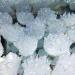 Specimen 1pcs 400-500g Crystal Minerals Natural Electroplated Aura Angel Clear Quartz Crystal Cluster for Home Decoration ERBDRGAZ - Buy Online on GoSupps.com