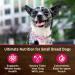 Wellness CORE Mini Meals Wet Dog Food 12-Pack - Shredded Chicken & Turkey Chunky Pate in Gravy - Buy Online on GoSupps.com