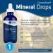 Trace Minerals Research ConcenTrace Drops | 4 fl oz - Essential Mineral Supplement - Buy Online on GoSupps.com
