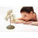 Mina Heal Yellow Quartz Money Tree - Crystal Gemstone for Chakra Healing Feng Shui Wealth & Prosperity - Buy Online on GoSupps.com