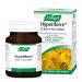 A.Vogel Hyperiforce St John's Wort Tablets | Relieves Symptoms of Slightly Low Mood and Mild Anxiety | 120 Tablets 120 Count (Pack of 1)