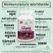 Ayushya Vasaka (Adulsa) Capsule - 60 Capsules | Natural Relief - Buy Online on GoSupps.com