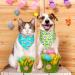 Easter Dog Bandana Set - 20 Pcs Washable Triangle Bibs for Dogs & Cats - Rabbit, Egg, Carrot Design - Adjustable & Washable Pet Scarfs - Easter Pet Accessories - Buy Online on GoSupps.com