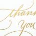 Gold Foil Script Hallmark Wedding Baby Shower Bridal Shower Thank You Cards - 100 Notes and Envelopes - Buy Online on GoSupps.com