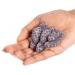 SOUR PATCH KIDS Grape Soft & Chewy Candy - 8.02 oz | Buy Internationally | Sweet & Sour Treats - Buy Online on GoSupps.com