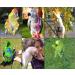 Aviator Bird Harness & Leash USA Made Parrot & Bird Flight Gear in Green - Buy Online on GoSupps.com