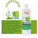  SOFTTO+PLUS Softto+Plus Tea Tree Shampoo Freshness and shine for healthy hair 400 ml - Buy Online on GoSupps.com