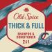 Old Spice Timber with Sandalwood 2-in-1 Shampoo and Conditioner for Men - 22 fl oz | Shop Internationally - Buy Online on GoSupps.com