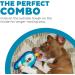 Outward Hound Invincibles Mini Plush Penguin Dog Toy - Blue XS | Best Durable Dog Toys for Small Dogs - Buy Online on GoSupps.com
