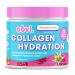 Obvi Hydration Powder | Electrolyte & Collagen Peptide Complex | 5 Types of Collagen with Hyaluronic Acid | Supports Skin Elasticity & Joint Health | Sugar-Free | Raspberry Rose 30 Servings