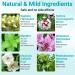 LMNOOP Athletes Foot Treatment Cream Maximum Strength - Antifungal Foot Cream for Itching, Blister, Burning, and Cracking - Natural Herbs - 1.76oz - Buy Online on GoSupps.com