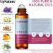 UpNature Dream Sleep Essential Oil Roll On Lavender & Chamomile Aromatherapy for Natural Sleep | 0.33 Fl Oz - International Shipping Available - Buy Online on GoSupps.com