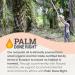 Nutiva Organic Red Palm Oil Unrefined 15 fl oz - Pack of 2 | 100% Pure & Natural - Buy Online on GoSupps.com