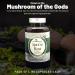 Aloha Medicinals Pure Agaricus Blazei 500mg - 90 Vegetarian Capsules | Certified Organic - Buy Online on GoSupps.com