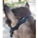 WALDHAUSEN Icelandic Anatomic Bridle - Black | Premium Equestrian Gear for International Shipping - Buy Online on GoSupps.com