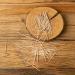 Mint Menthol Toothpicks - 600 Pcs Bulk Natural Wooden Dental Picks for Oral Health - Buy Online on GoSupps.com