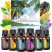 Top 6 Essential Oils Set for Diffusers - Stress Relief, Serenity Sleep, Aromatherapy, Peppermint, Orange, Lavender, Eucalyptus - Buy Online on GoSupps.com