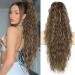PORSMEER 28 inches Ponytail Extension Brown mixed Blonde Long Beach Wave Drawstring Clip in Pony Hair Extension Synthetic Pony Tail Hairpiece for Women