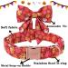 Unique Style Paws Halloween Dog Collar - Pumpkin Cotton Fly Collar for Girls XS (8-12in) with Metal Buckle - Buy Online on GoSupps.com