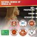 LABO Nutrition Perfect Krill EX - Ultra Strength Antarctic Krill Oil with Choline, Astaxanthin, Omega 3 - Heart & Joint Support - 60 Softgels - Buy Online on GoSupps.com