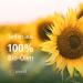 Buy Sonett Gall Soap 120 ml - Eco-Friendly & Organic | International Shipping - Buy Online on GoSupps.com