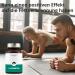 High Dose L-Carnitine 500mg Capsules - Vegan Alternative to Powder & Tablets | VitaminFuchs - Buy Online on GoSupps.com