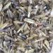Natural Crystal Rough Natural Crystal Rough 2.2LB 1KG Raw Natural Smoke Citrine Quartz Crystal Original Points Rough Stone - Buy Online on GoSupps.com