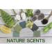 Natural American Elements Men's Bar Soap - 100% All Natural, Essential Oils & Organic Shea Butter - 6 Pack, Made in USA - Buy Online on GoSupps.com