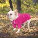 Minezi Pink XXL Hundred Coat - Reflective Buttons & Zippers Wind & Rainproof Adjustable Cord Removable Hood - Buy Online on GoSupps.com