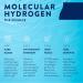 HTWO Molecular Hydrogen Water Tablets for Drinking 30 Count Water Enhancer with 80mg Magnesium for Hydration Antioxidant Support for Recovery & Cognitive Function Unflavored 12 ppm - Buy Online on GoSupps.com