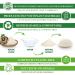Sinutan Konjac Face Sponge - 100% Natural White | Eco-Friendly Cleansing for Radiant Skin - International Shipping - Buy Online on GoSupps.com