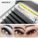 SEEDEW 5D Lash Extensions 0.07mm D Curl 11mm 12 Rows/Tray W Shape Flat Stem Korean PBT Volume False Eyelashes Grafting for Beginner Artist Lash Tech Beauty Salon(5D-Matte Black-0.07-D-11mm) 5D 0.07D 11mm Black - Buy Online on GoSupps.com
