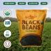 Mayorga Organic Dry Black Beans - USDA Certified, Non-GMO, Gluten-Free - 10 lb Resealable Bag | Direct Trade, Kosher - Frijoles Negros - Buy Online on GoSupps.com