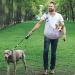 Petcute Sling Dog Carrier Bag for Small Dogs - Adjustable Padded Shoulder Strap & Safety Buckle - Front Pocket - Gray - Buy Online on GoSupps.com