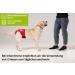 High-Quality Incontinence Pants for Males | Dog Protection Neoprene Pants S-L | Functions for Bitches - Buy Online on GoSupps.com
