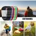 12pcs Aluminum Carabiner Keychain Clips - D-Ring Shape, 66lbs Capacity, Multicolor - Buy Online on GoSupps.com