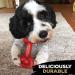 Rosewood 57042 TastyBone Extra Robust Knotted T-Bone Dog Toy - Durable Nylon Beef Flavor for All Dogs - International Shipping Available - Buy Online on GoSupps.com