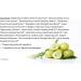 Organic Rejuvenation Amla & Camu Camu Day Cream - Buy Online on GoSupps.com