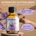 Woodfjord Lavender Sauna Infusion 100ml | Premium Organic Sauna Oil & Fragrance | Authentic & Sustainable Relaxation - Buy Online on GoSupps.com