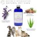 Natural Cat Shampoo with Aloe Vera Cedar & Lavender - 250ml | Sulfate & Paraben Free - Relieves Itching & Cleans Gently - NIP - Buy Online on GoSupps.com