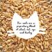 Organic Cat Grass Growing Kit for Natural Hairball Control - Made in USA - Buy Online on GoSupps.com
