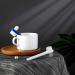 Denture Brush Dual Head Toothbrushes - Hard Denture Cleaning Brush (6 Pieces) - Buy Online on GoSupps.com