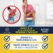Rapid Relief Hemorrhoid Treatment Cream - Maximum Strength Aloe Vera Formula for Fast Pain Burning Itching & Swelling Relief - Ships Internationally - Buy Online on GoSupps.com