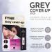 FYNE Root Touch Up Cover Stick - Pack of 4 - Instant Jet BlackGrey Hair Cover Up - Magic Retouch Temporary Hair Colour for Men & Women Jet Black stick 4 - Buy Online on GoSupps.com