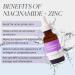 Buy Cosmedica Skincare Niacinamide + Zinc Serum with Hyaluronic Acid 1 oz | International Shipping Available - Buy Online on GoSupps.com