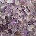 Natural Crystal Rough 50/100g Natural Amethyst Irregular Stone Purple Gravel Specimen Raw Quartz Crystal Jewelry Accessory Home Decor (Color : 100g)