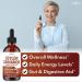 NEW AGE Ceylon Cinnamon Tincture Drops - Liquid Cinnamon Supplements for Overall Support - Cinnamomum Verum Bark Extract - Vegan, Sugar & Alcohol-Free, Non-GMO - 4 fl oz 2 Fl Oz (Pack of 2) - Buy Online on GoSupps.com