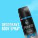 Axe Ice Chill Deodorant Body Spray - Frozen Lemon & Eucalyptus - 4 OZ (113g) - Pack of 3 Cans - Buy Online on GoSupps.com