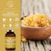Qidosha Boswellia Serrata Frankincense Capsules - High Dose Test Winner 08/23 270 pcs 85% Boswellia Acid 500mg Extract per Capsule - Premium Quality Frankincense Supplements - Buy Online on GoSupps.com
