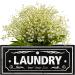 UCUDI Laundry Softener Dispenser Cover & Dryer Sheets Holder Wall Art Decor - Black - Buy Online on GoSupps.com